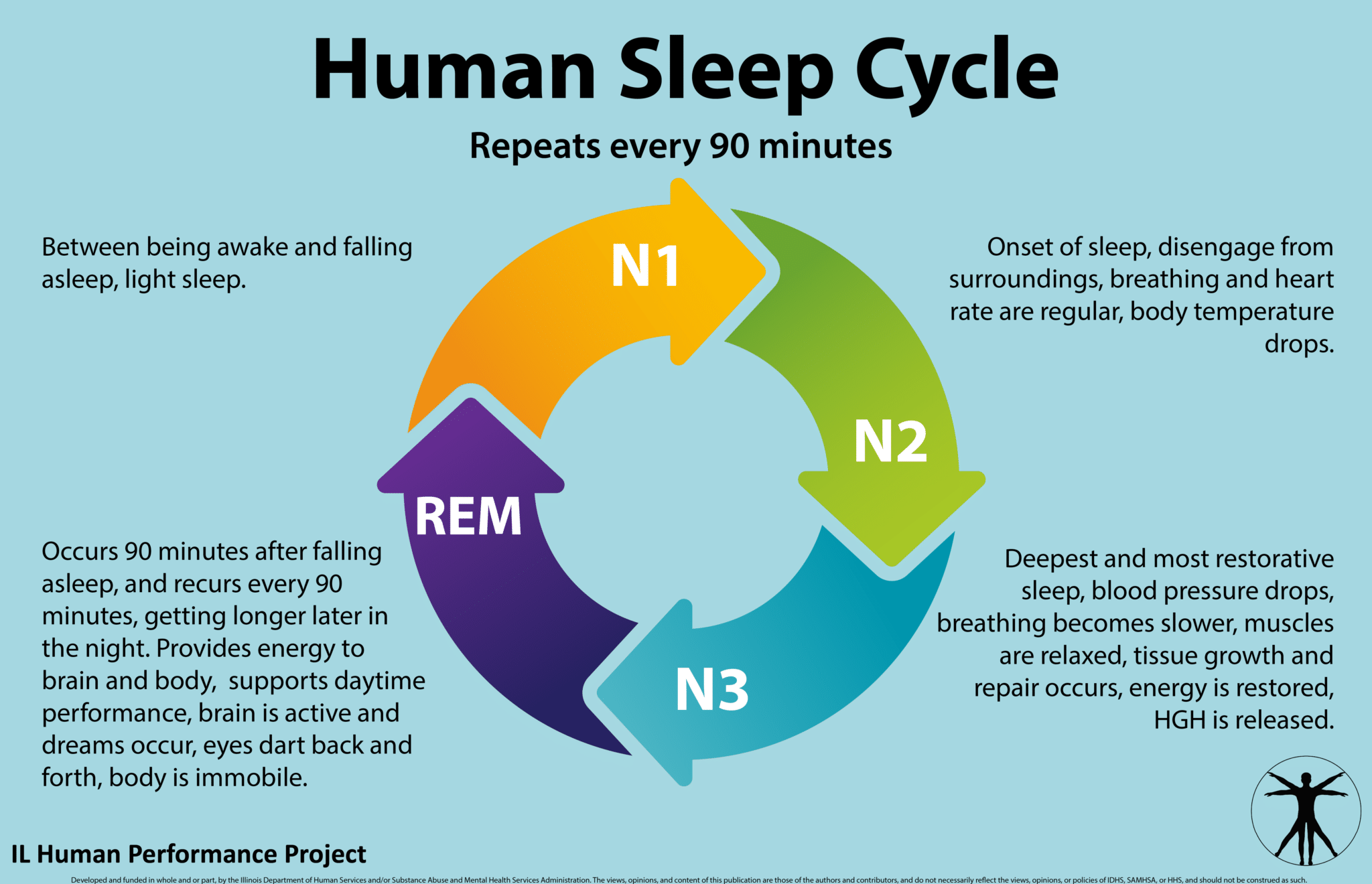 Human Sleep Cycle Poster - Illinois Human Performance Project