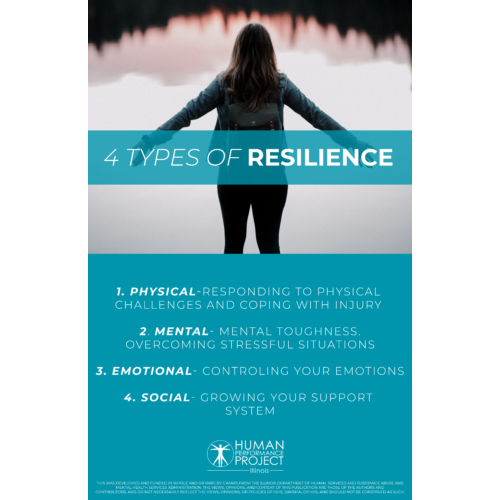 4 Types of Resiliency Poster