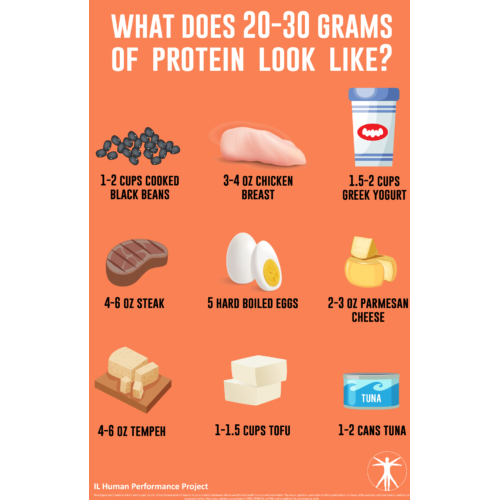 Protein Examples Poster