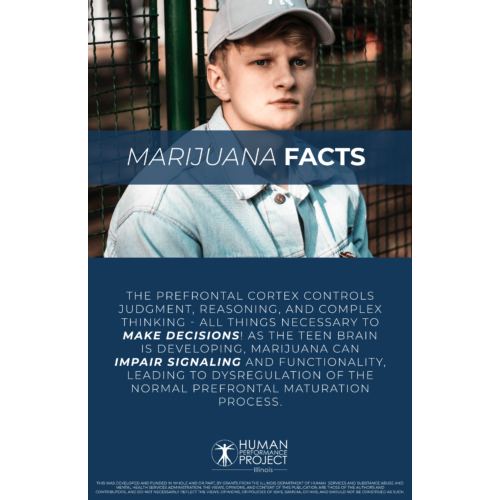 Marijuana Facts Poster