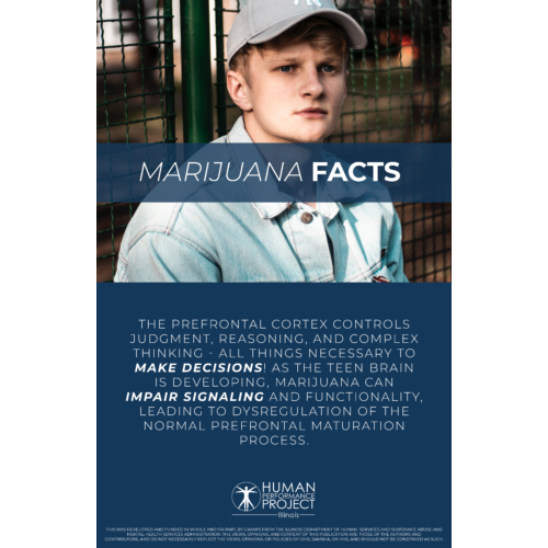 Marijuana Facts Poster