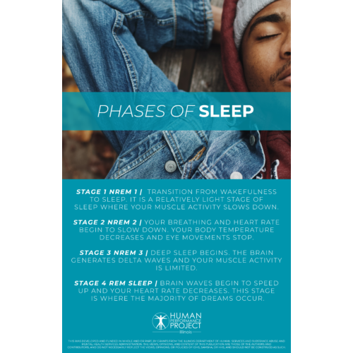 Phases of Sleep Poster