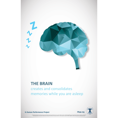 Brain & Sleep Poster