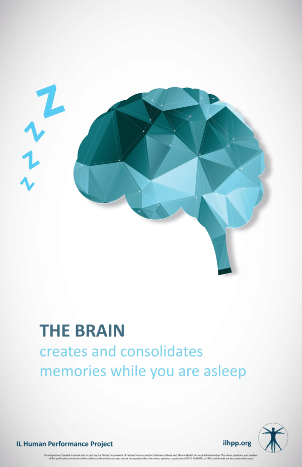 Brain & Sleep Poster
