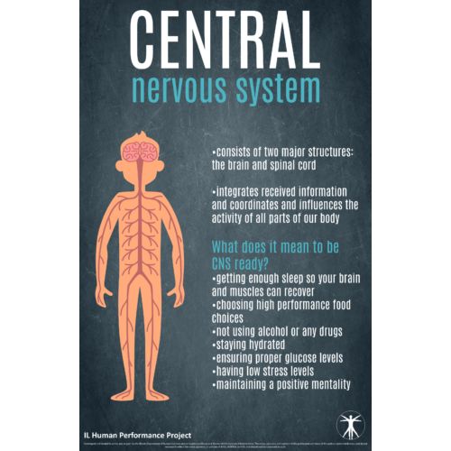 Central Nervous System Poster